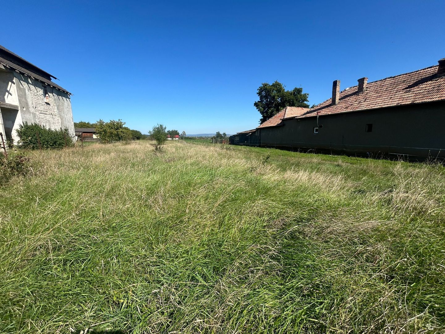 Teren intravilan, 5700mp - Teius - Poză 2