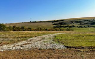 Teren | 651MP | Extravilan | Rusciori - Poză 4