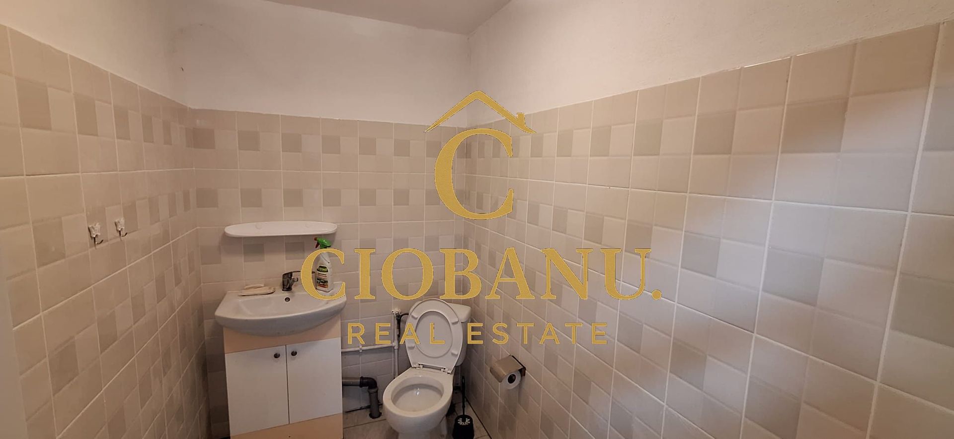 Hala de vanzare in Racarii de Jos - Poză 7