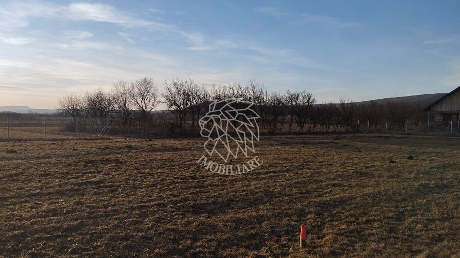 Teren 3500 mp-livada-Rusu Bargaului 13km de Bistrita - Poză 2