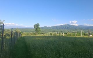 Teren intravilan 809 mp cu deschidere 14 m în Tropinii Noi - Poză 16