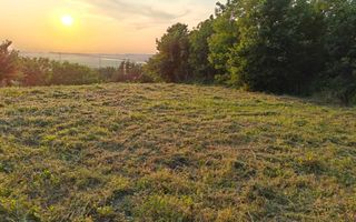 Teren de vânzare Horpaz - Poză 5