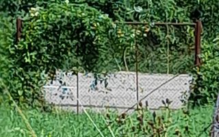 Teren Intravilan | 1500 MPU | Tocile, Comuna Sadu - Poză 3