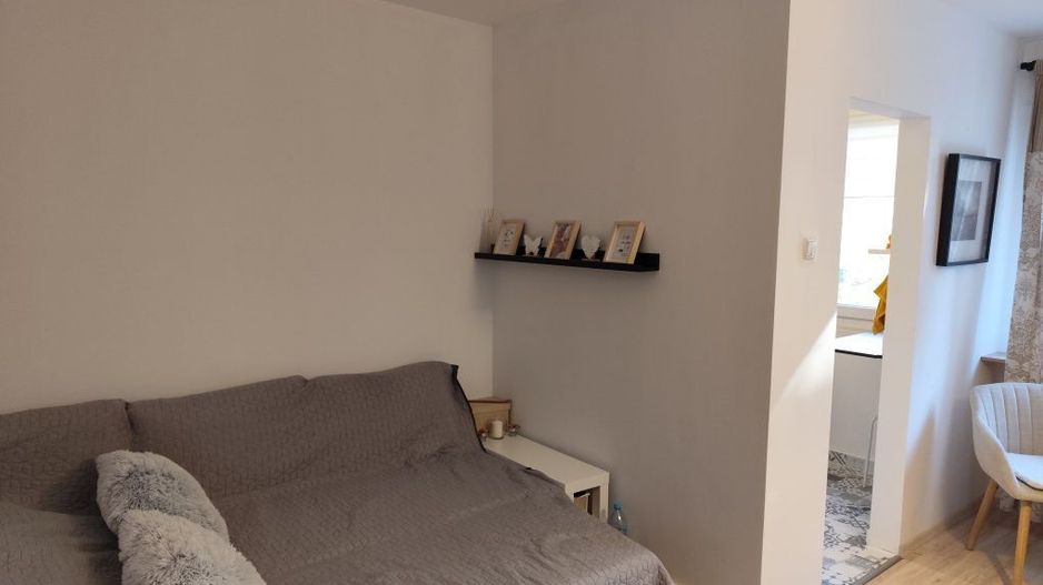 De vanzare garsonieră in Titan,Liviu Rebreanu - Poză 6