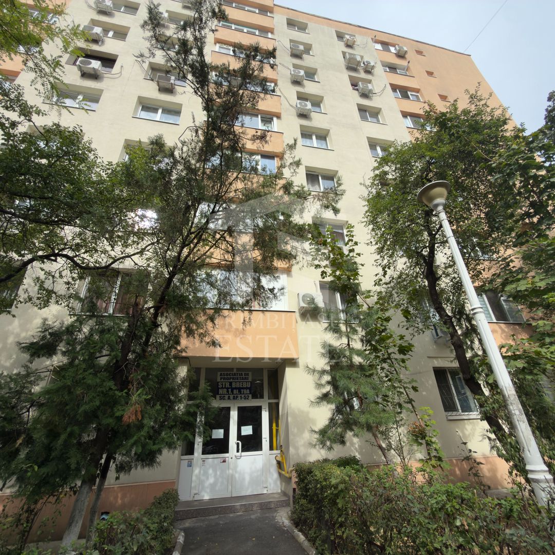 Apartament 3 camere Lacul Tei Teiul Doamnei - Poză 22