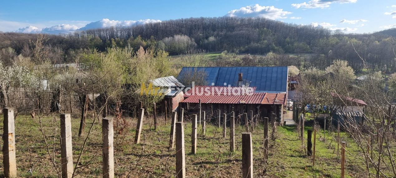 Casă P+M cu 1.558 mp teren, livadă și garaj - Poză 15