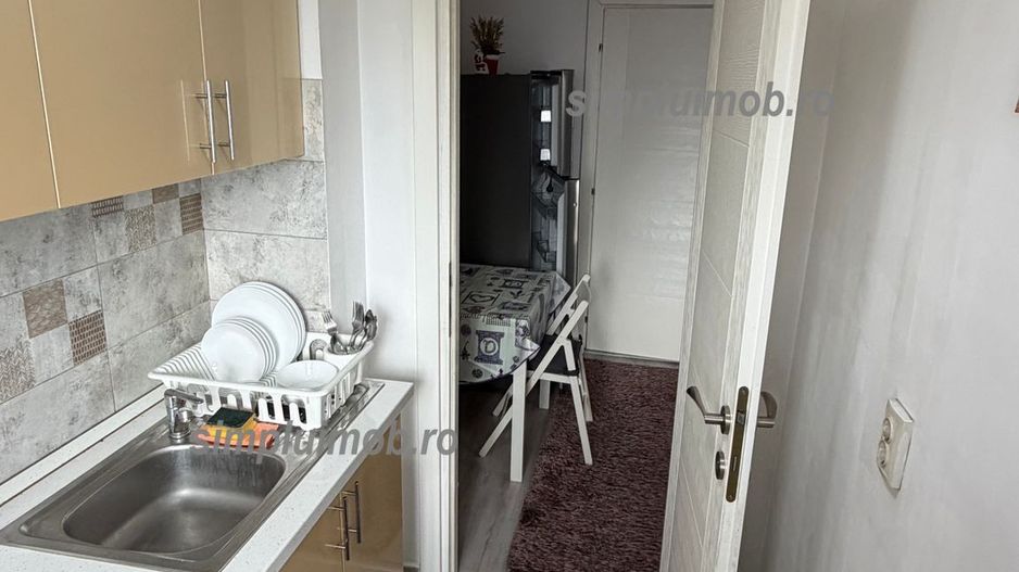 Spațioasă, mobilată, utilată, C. Brâncoveanu mini pet friendly - Poză 9