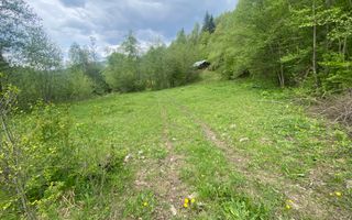 Teren Intravilan | Câmpulung Moldovenesc | 31ARI - Poză 3