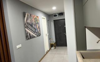 Garsoniera tip studio mobilat/utilat modern I Dristor - Poză 9