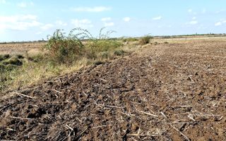 Teren pentru investitii zona Grigorescu - Poză 3