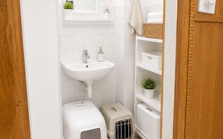 Apartament 3 camere,  decomandat, Zona Dacia - Poză 8