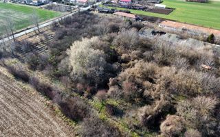 Ferma si livada de meri in judetul Ilfov - Poză 5