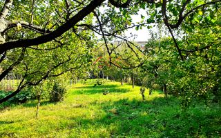 Casa 3 camere, teren 3625 mp, toate utilitatile, Sacele, Brasov - Poză 5