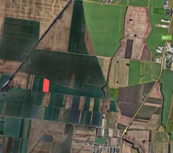 Teren extravilan 8600m agricol Oradea/Nojorid - Poză 1