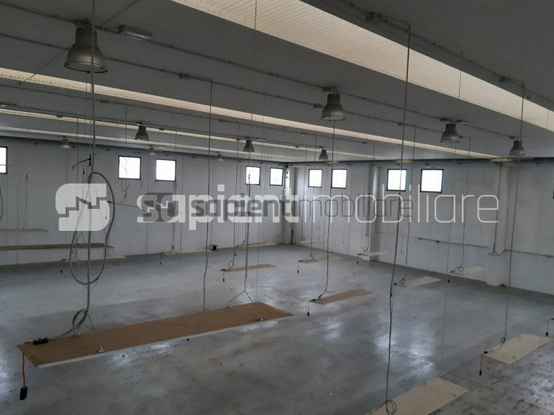 Sapient | Hala situata in com. Borș - Poză 7