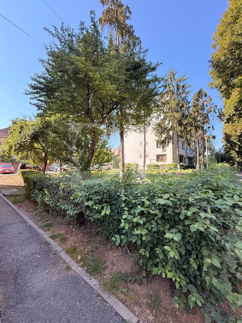 Apartament decomandat / etaj intermediar / Zona Grigorescu - Poză 17