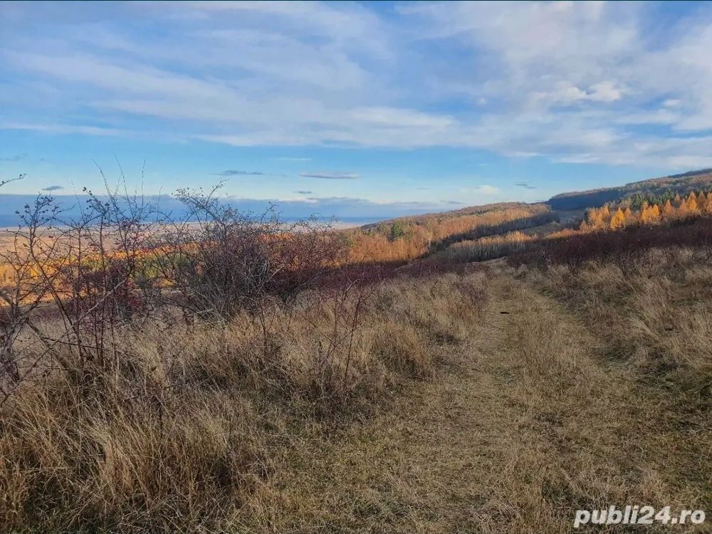 Teren Feleacu între pârtie  i centură 706 mp - Poză 4