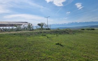 TEREN  EXTRAVILAN 2000 MP ÎN DAIA - BAVARIA | DEALUL 2 | DOAR 15€/MP - Poză 29