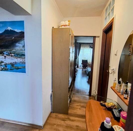 Apartament Stefan cel Mare/parcul Circului - Poză 8