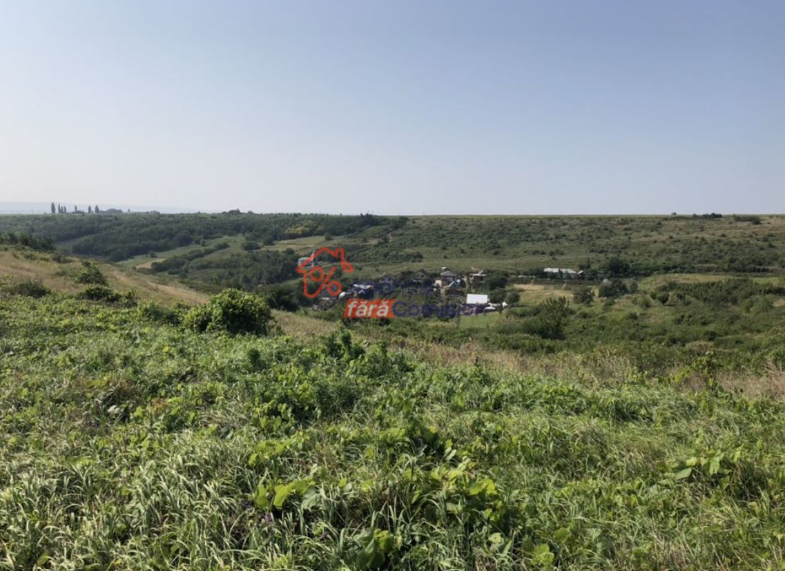 Teren Sorogari, 19000mp,  35euro/mp - Poză 8