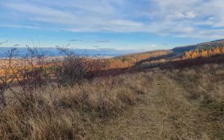 Teren Feleacu între pârtie  i centură 706 mp - Poză 4