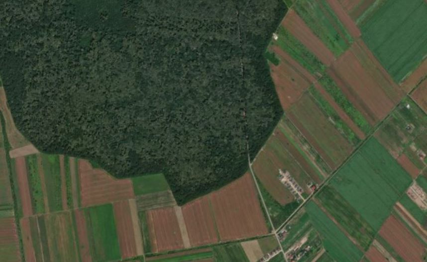 Parcelă teren 433 mp lângă pădure - Poză 1