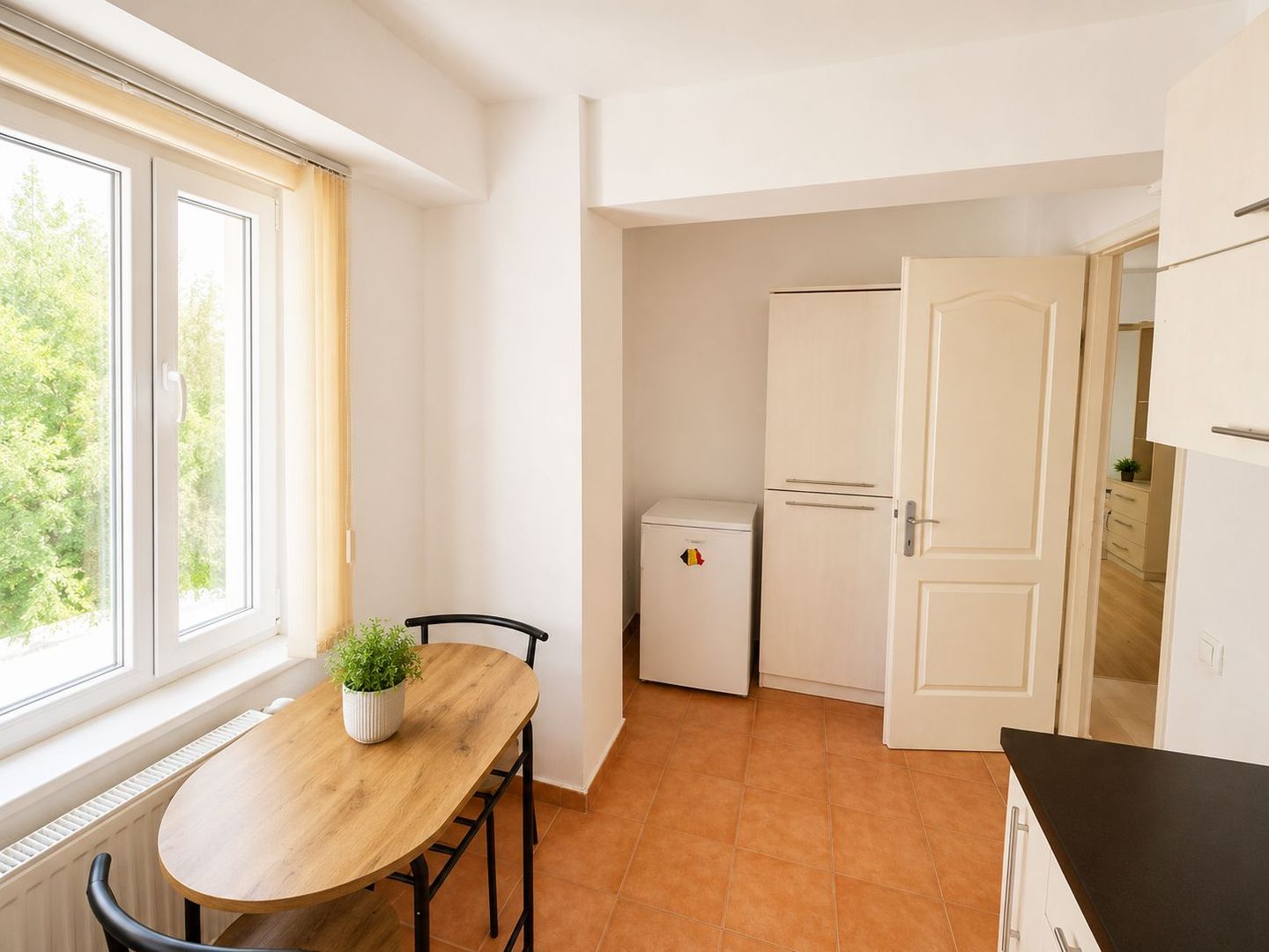 Apartament cu 1 camera | Parcare | Terasa | USAMV | UMF - Poză 3