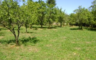 Teren  de vanzare Cornu 1919 mp - Poză 6