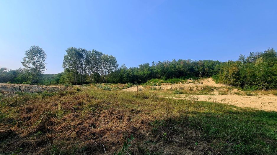 Teren intravilan de vanzare - Bujoreni - Poză 7
