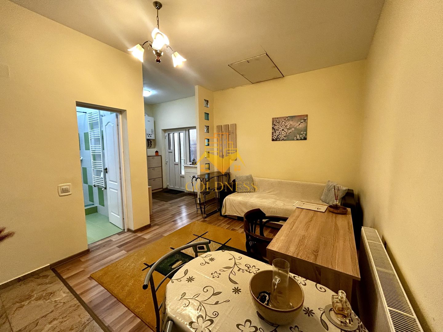 1 camera open space, 2 parcari, curte proprie, FSEGA, Iulius Mall - Poză 3