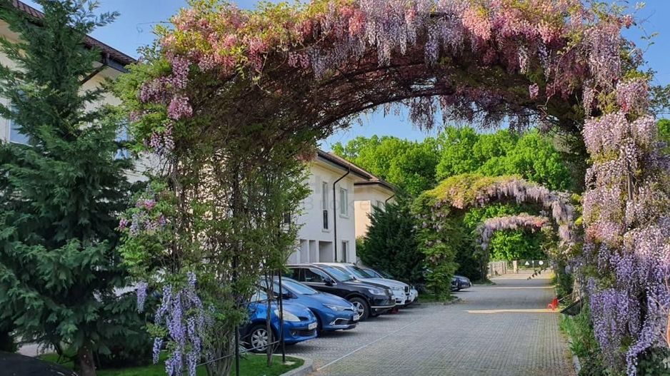 Vila 5 camere Avangarde Forest 4 | Mobilata complet - Poză 50