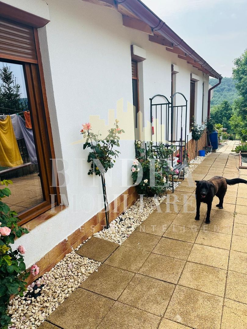 Casa de vis, constructie 2023 Charlottenburg- COMISION 0 - Poză 17