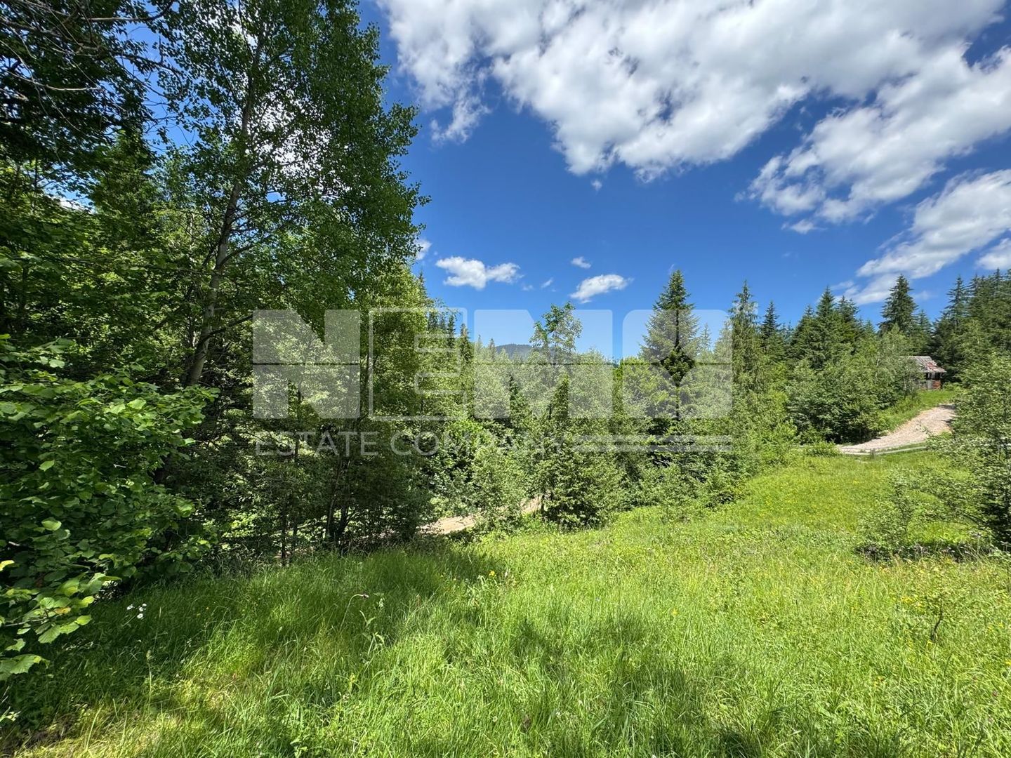 TEREN EXTRAVILAN DE VANZARE | CAMPULUNG MOLDOVENESC | 258.720€ - Poză 7