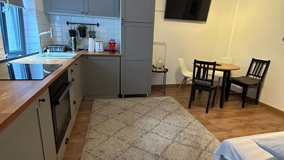 APARTAMENT 2 CAMERE OPENSPACE PARCUL CAROL - TINERETULUI - Poză 18