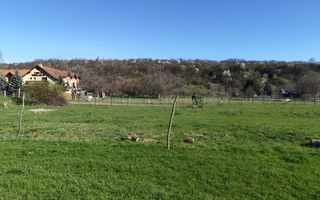 Teren | Intravilan | 550 MP | Sibiel - Poză 1