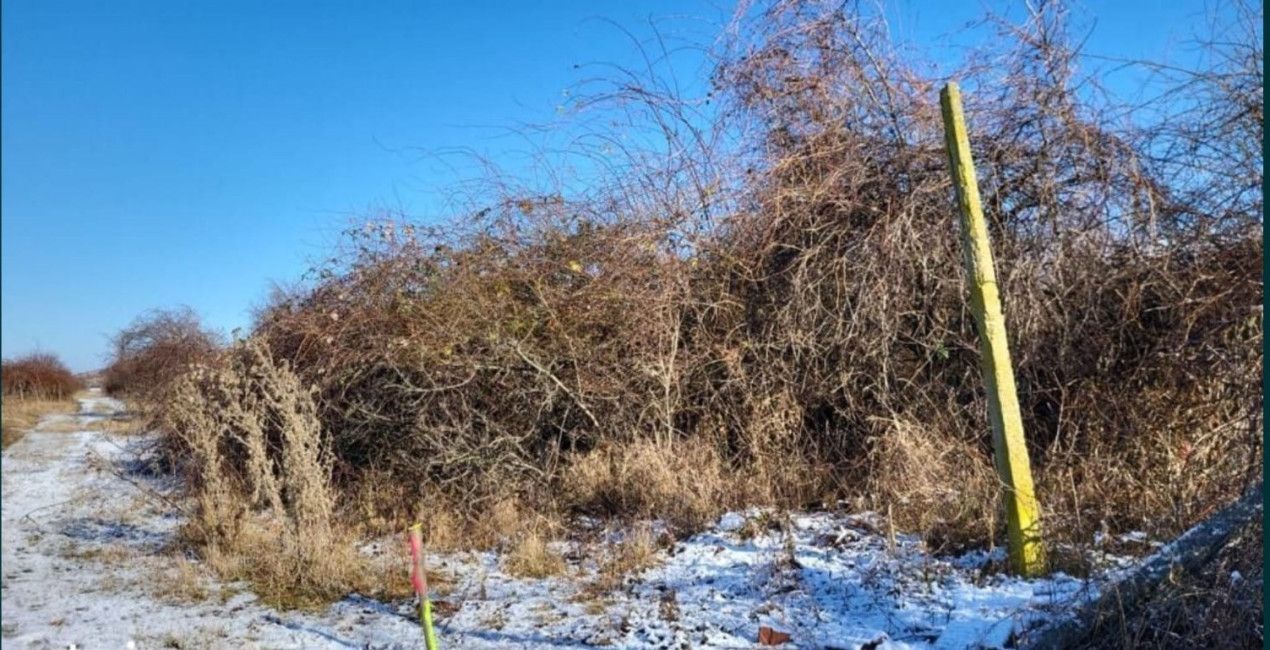 Teren extravilan, comuna Ghioroc - Poză 1