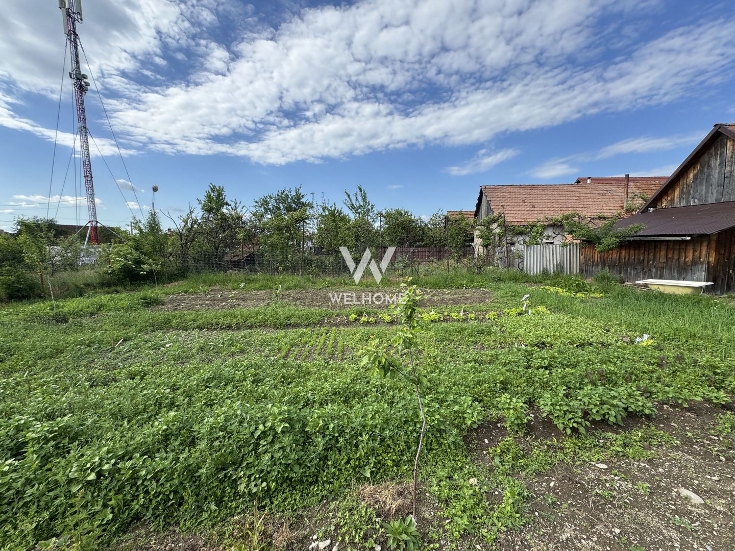 Casa individuala in Arpasu de Sus, teren mare, partial renovata - Poză 29