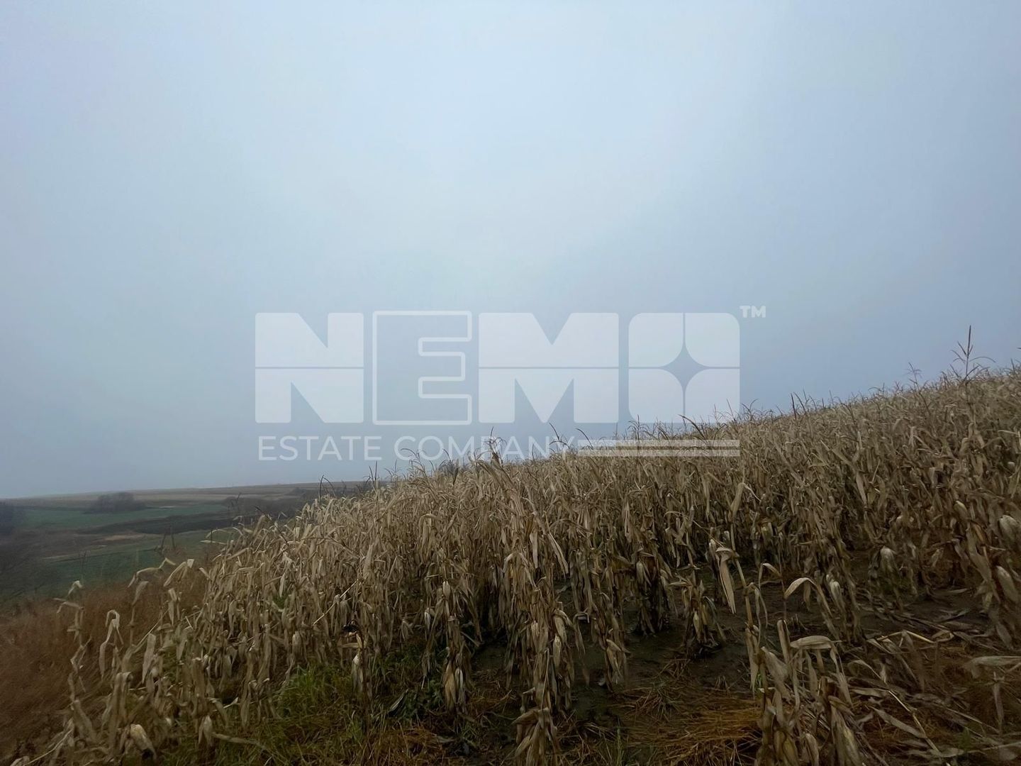 TEREN EXTRAVILAN | DOUA PARCELE 2.84 HA| IDEAL AGRICOL | DARMANESTI - Poză 15