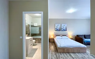 Apartament 1 camera Parcare, zona Iulius Mall - Poză 13
