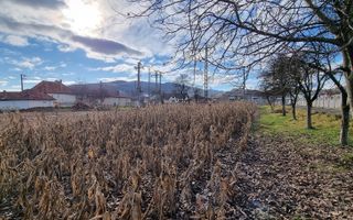 De vanzare 1929mp teren intravilan cu utilitati, Sard - Poză 3