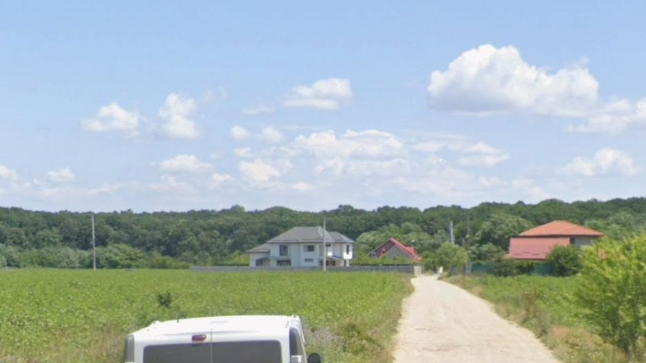 800 mp padurea Snagov Ciofliceni l utilitati la strada - Poză 1