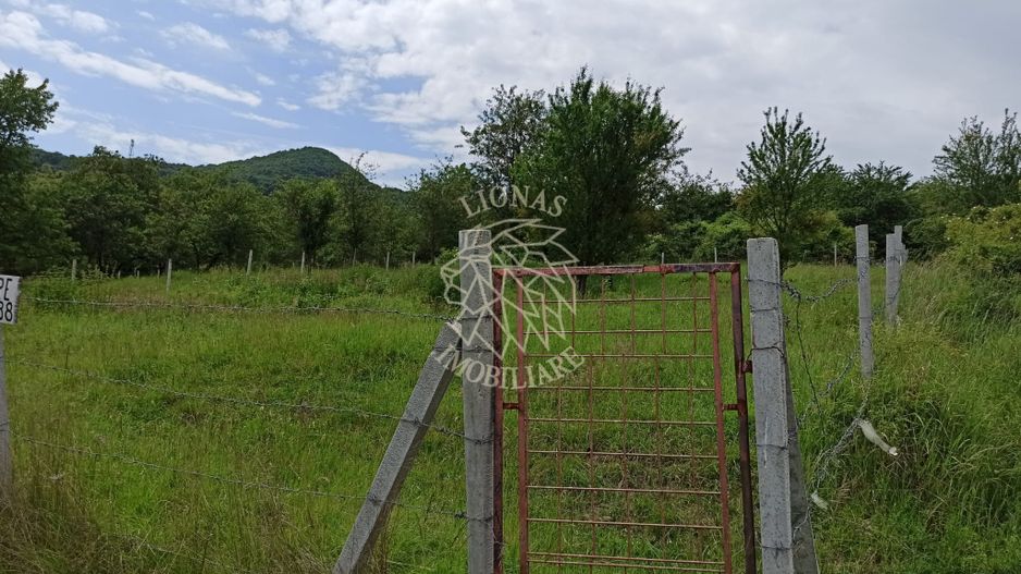 Teren 1000mp+cota drum-ideal cabana/investitie-panorama-Valea Rusului - Poză 4