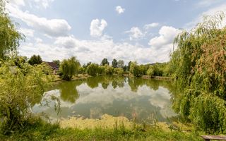 Afacere la cheie - domeniu cu lacuri de pescuit  - Sat Bunești, Com. Malureni - Poză 10