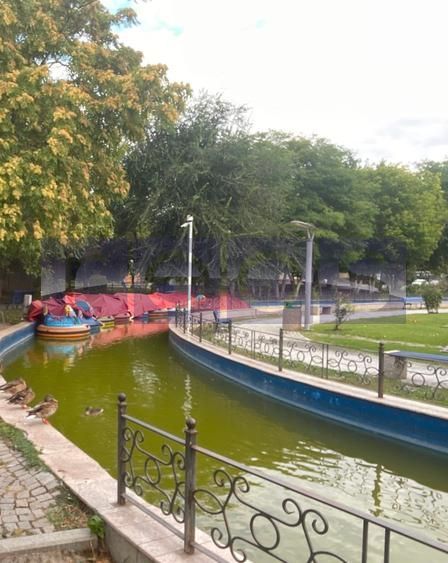 VANZARE APARTAMENT CU 1 CAMERA DECOMANDAT -TIMPURI NOI - Poză 10