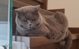 VANZARE -DUPLEX 3 CAMERE -BUCURESTI  Mall Select Residence - Poză 24