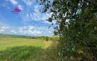 Teren de vanzare in Meziad.