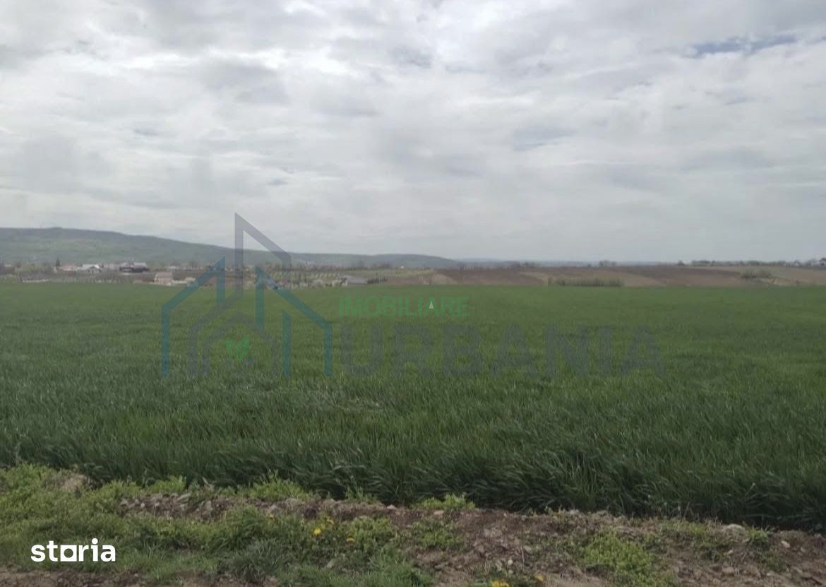 Teren extravilan în Holboca, Iași – 5.000 mp, deschidere 20 m la drum - Poză 1