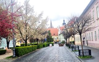 APARTAMENT ULTRACENTRAL SIBIU | 1 MIN PIAȚA MARE | 3 CAMERE | ETAJ 1 - Poză 2