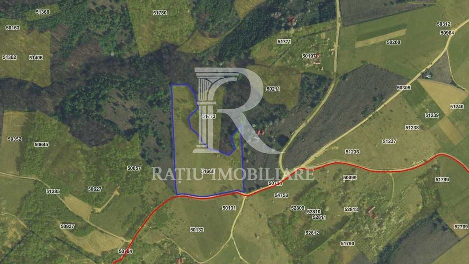 Teren de vânzare | 30500 mp | Priveliște superba | Sinteu | Bihor - Poză 1