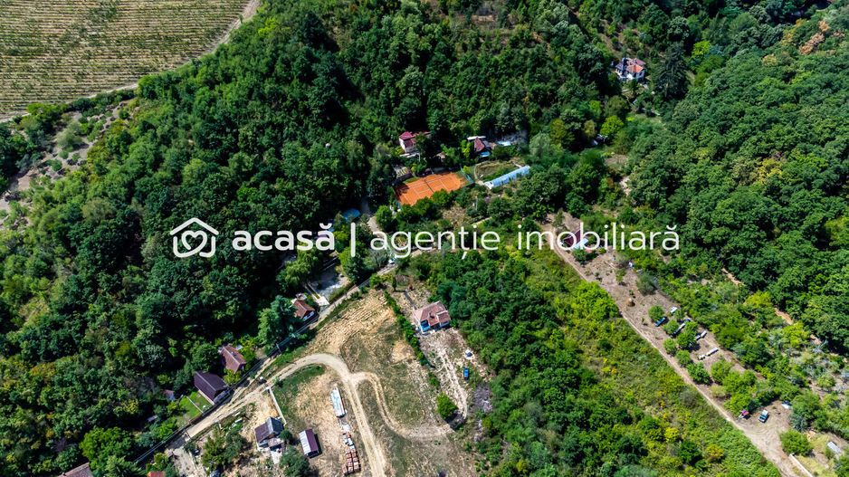 PROPRIETATE VÂNDUTĂ Casă conac cu 15.000 mp deal împădurit la Barațca, - Poză 13